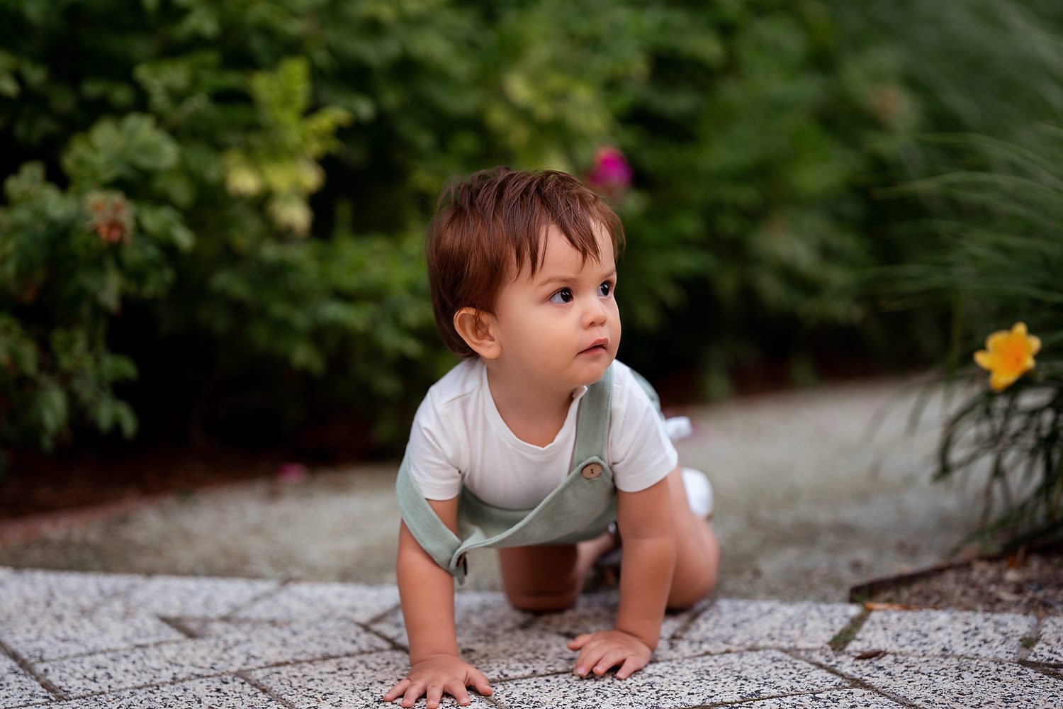 san antonio spring boy portrait